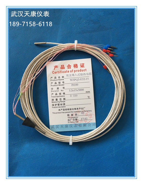 WZPQ-E32-15/WZPQ2-E32-15汽輪機用埋入式熱電阻